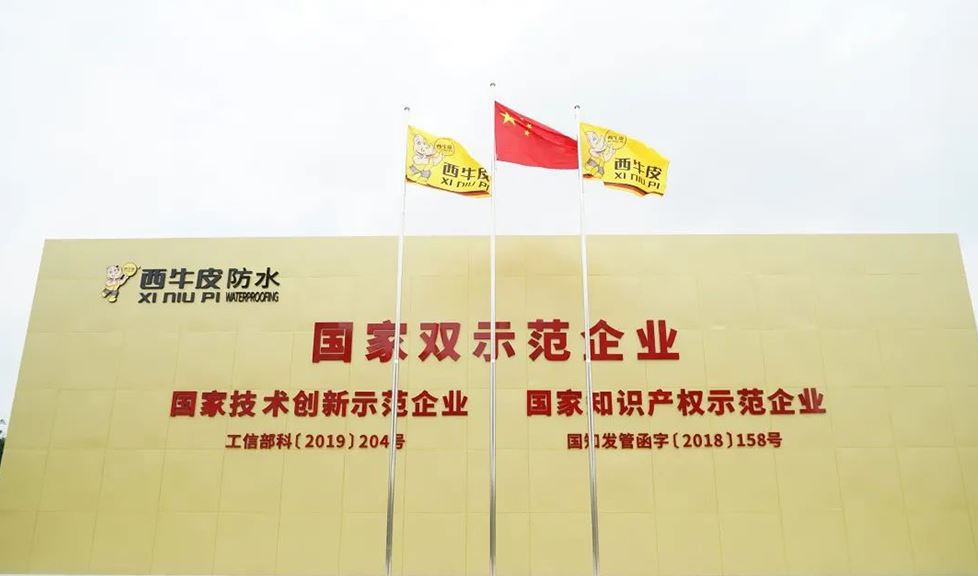 西牛皮副總經(jīng)理郭文雄 榮獲國(guó)家“企業(yè)知識(shí)產(chǎn)權(quán)工作先進(jìn)個(gè)人”