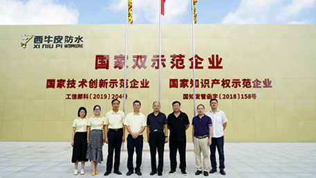 國家知識產(chǎn)權(quán)局知識產(chǎn)權(quán)發(fā)展研究中心一行走訪西牛皮防水，實地調(diào)研科技創(chuàng)新帶來的發(fā)展新成果