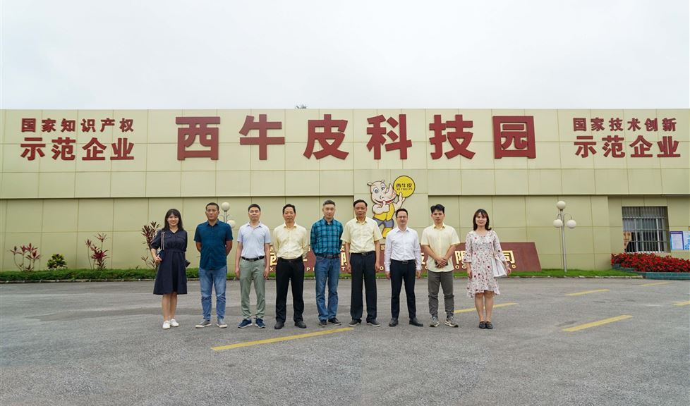 西牛皮防水科技園迎來廣西民族大學建筑工程學院一行