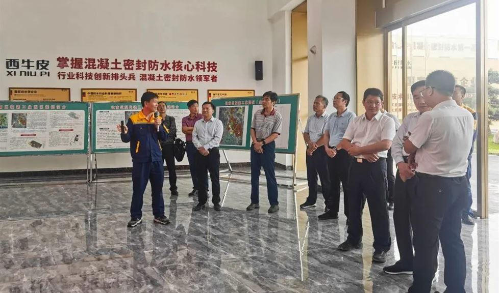 西牛皮防水（欽州）科技園迎來欽州市決策咨詢委老領導咨詢組一行