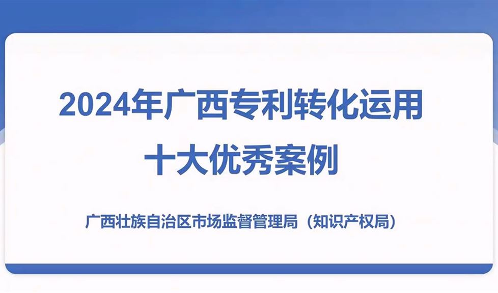 西牛皮榮獲2024年廣西專利轉(zhuǎn)化運(yùn)用十大優(yōu)秀案例