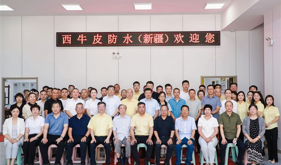 西牛皮，在新疆，排頭兵，一定行！