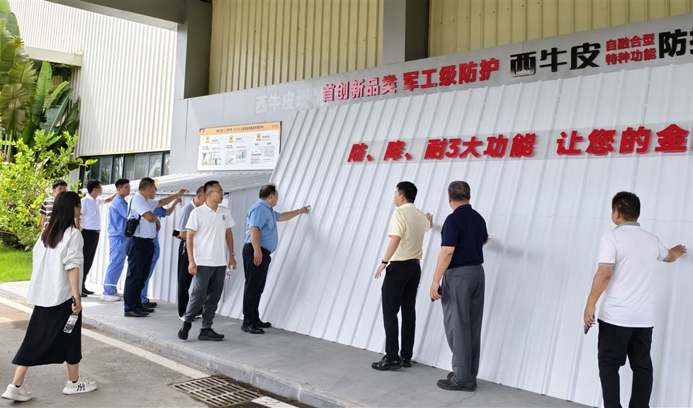 西牛皮（欽州）科技園迎來(lái)欽州市工業(yè)和信息化局等一行